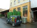 Bild (7)